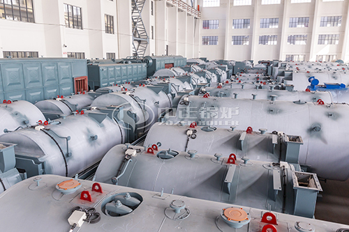 生物質(zhì)保養(yǎng)和一些注意事項