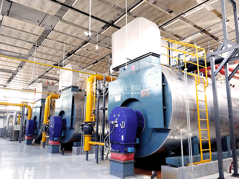 14MW WNS系列冷凝式燃?xì)忮仩t項(xiàng)目