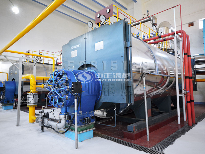 6噸生物質(zhì)鍋爐多少錢